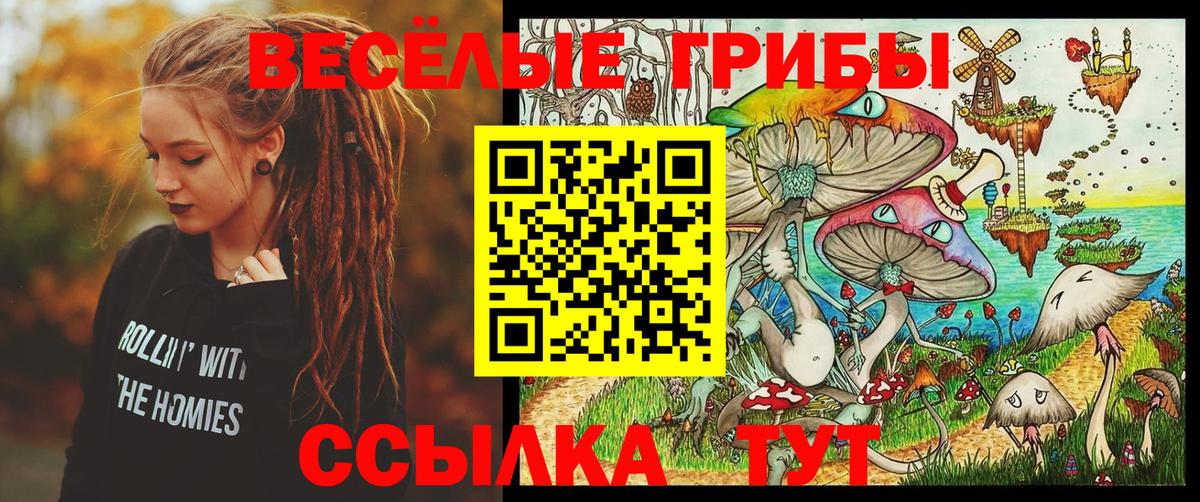 Галлюциногенные грибы Psilocybe  Псилоцибиновые грибы Psilocybe  Вход с VPN  Заринск 