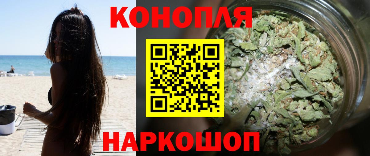 Каннабис план Заринск